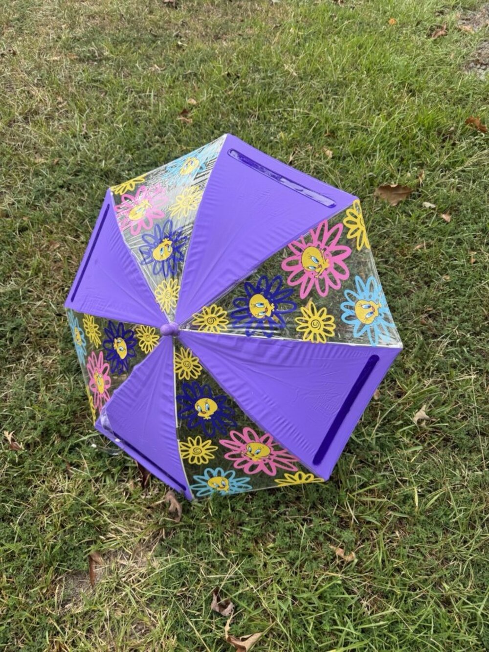 Vintage 2000 Looney Tunes Tweety Bird Kids Umbrella Clear Floral Purple